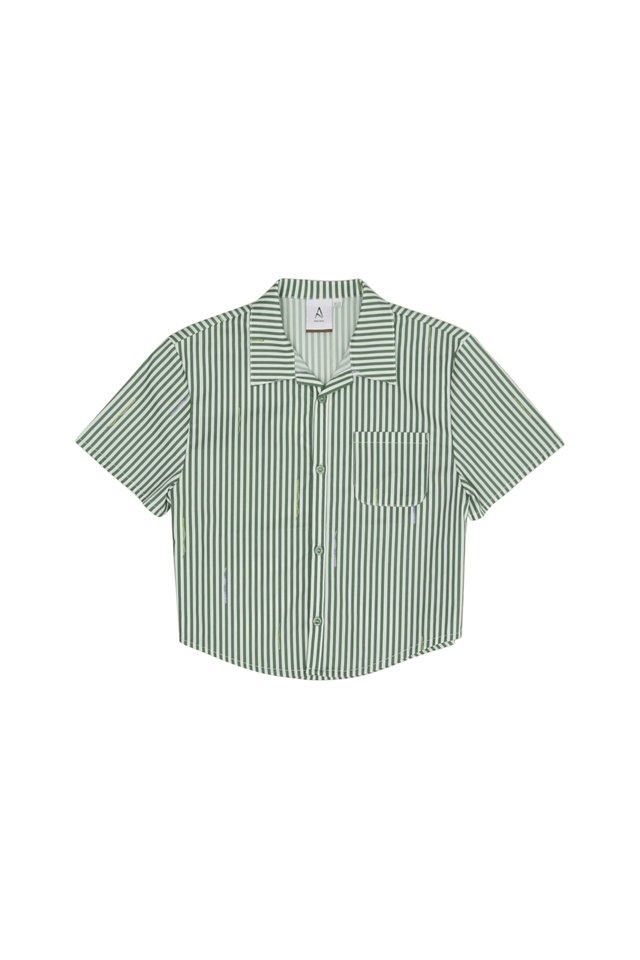 REX MINI "SSSTRIPED" SHIRT IN FERN