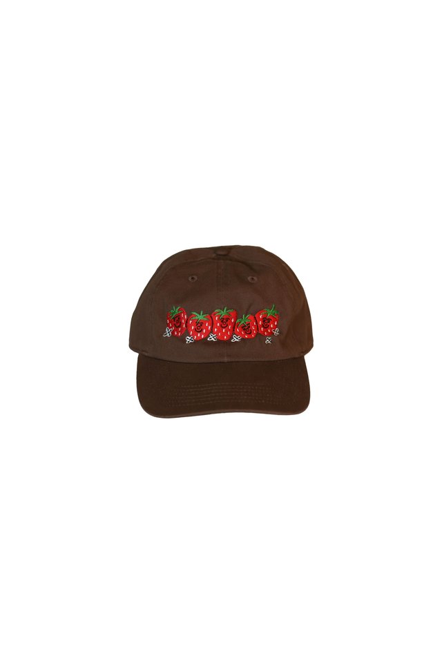 ARCADE X TESS SMITH-ROBERTS “STRAWBERRIES” BASEBALL CAP IN CHOCOLATE