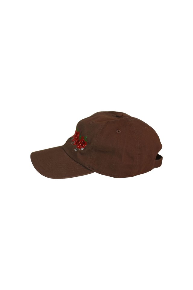 ARCADE X TESS SMITH-ROBERTS “STRAWBERRIES” BASEBALL CAP IN CHOCOLATE